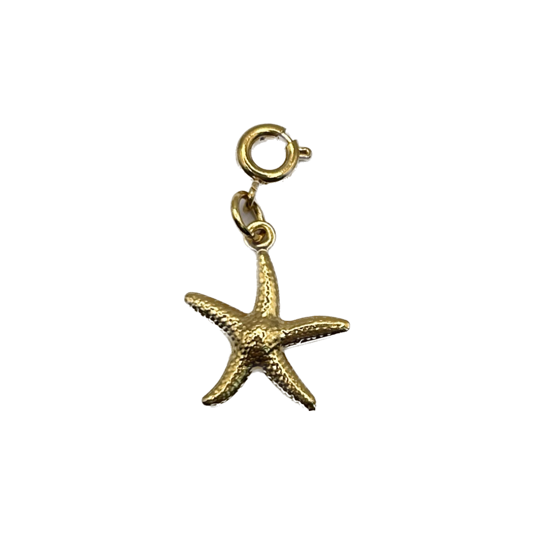 Étoile de mer | Charms