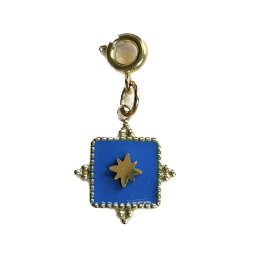 Médaille bleue | Charms